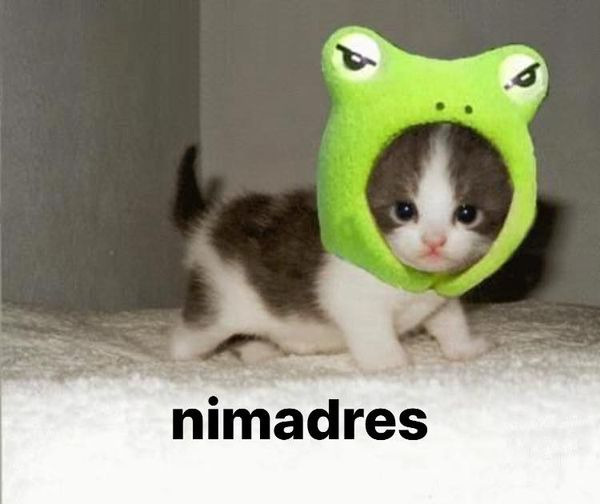Nimadres - meme