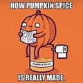 Not a fan of pumpkin spice anyway
