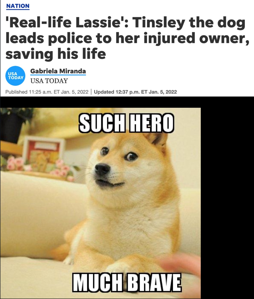 Hero doge - meme