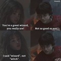 She said Wizard, can't argue with Hermione.