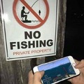No pescar