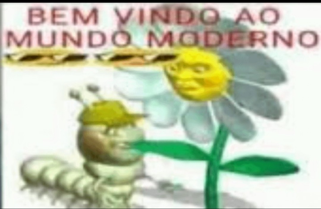 Bem vindo - meme