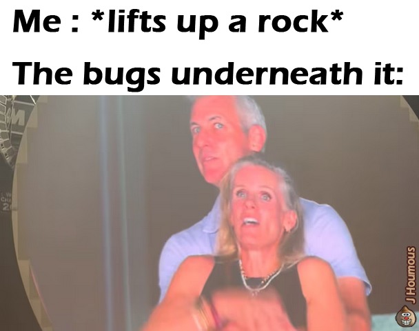 Bugs - meme