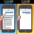 Dogs vs Cats