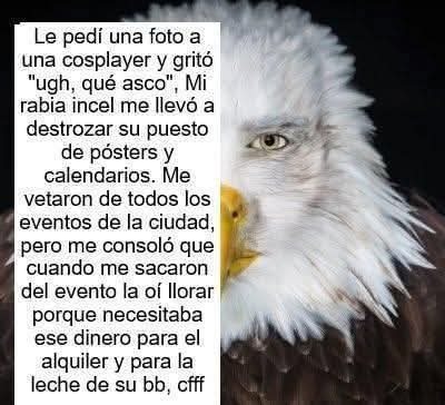 Los mejores memes que verás hoy