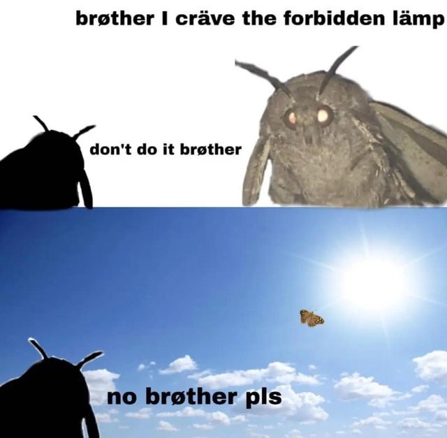 forbidden lamp - meme