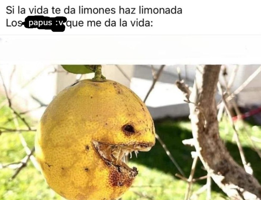 porfin un momo sin repost  - meme