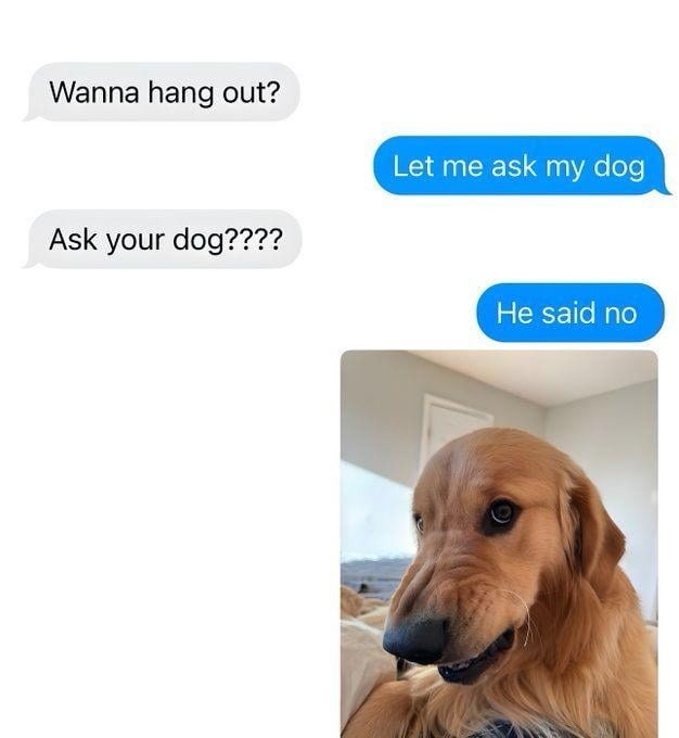 Me: wanna hang out? My dog: not with that energy - meme