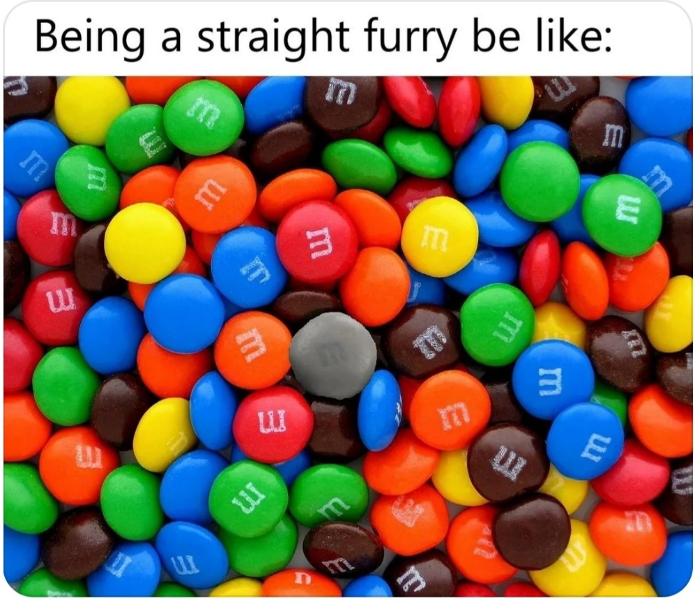 Ser furro hetero ser como yo del gris - meme