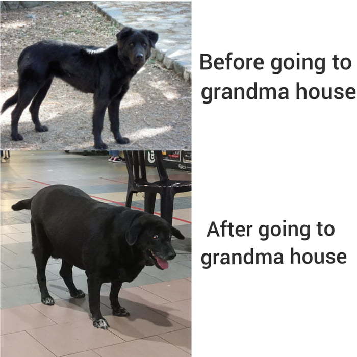 We love grandma - meme