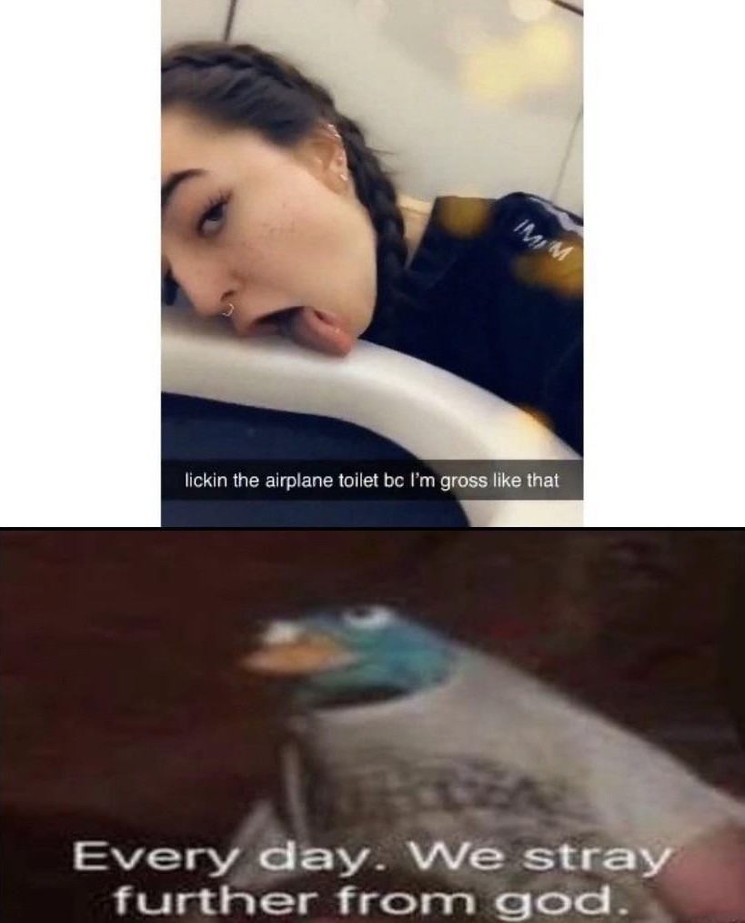 Stray Further and Further - meme