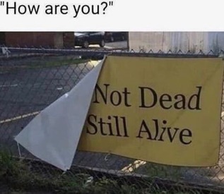not dead still alive - meme