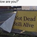 not dead still alive