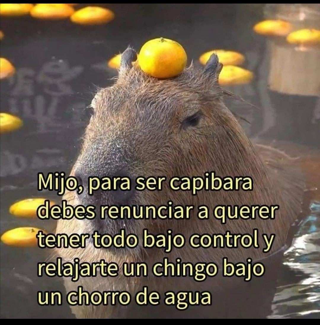 Si quieres ser un capybara debes ver este meme