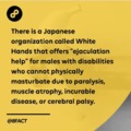 The Japanese White hands organization