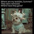 Snuffles wants answers, Summer