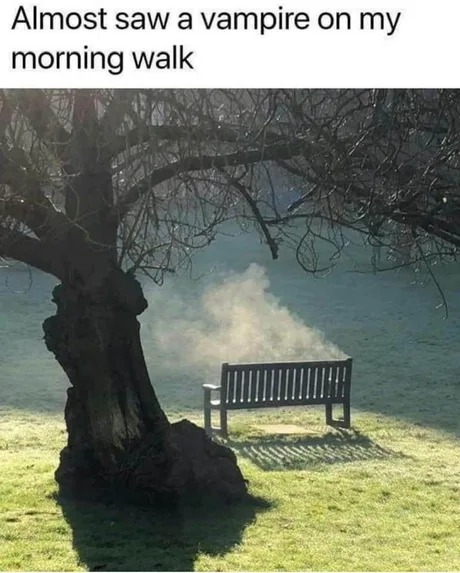 Almost saw a vampire on my morning walk - meme