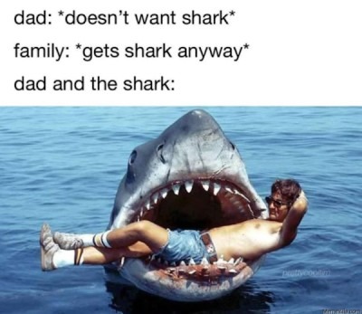 The shark - meme