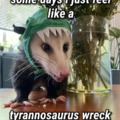 I'll be posting some of my normal raccoon/opposum memes as well as others.