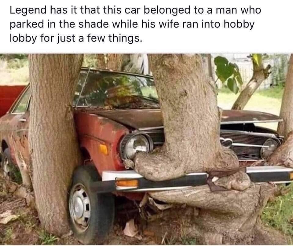 Meanwhile, I'll leave the car parked in the shade Meme by schizoidman