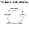 The Cycle of English teachers