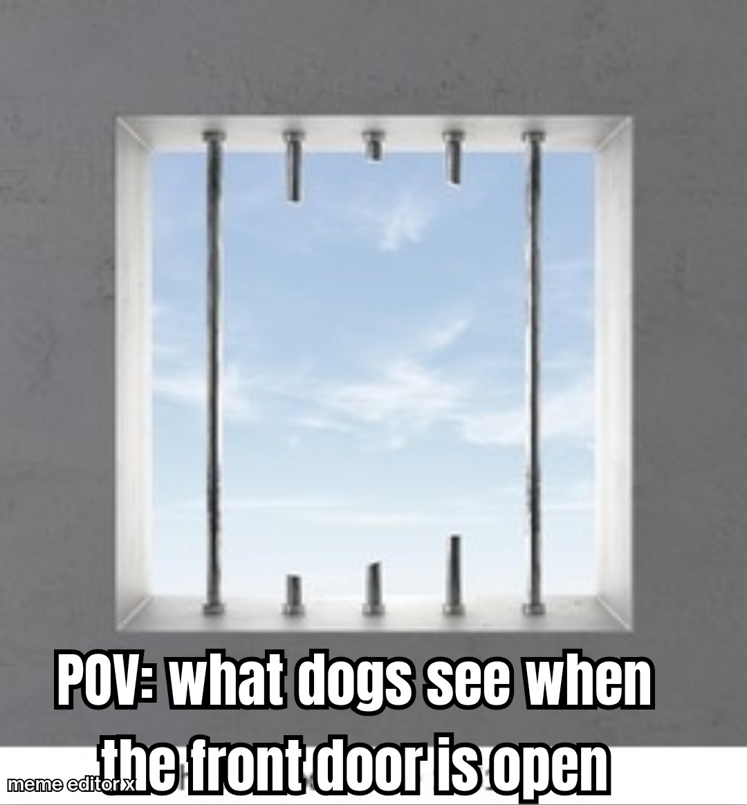 My dog would be outta there - meme