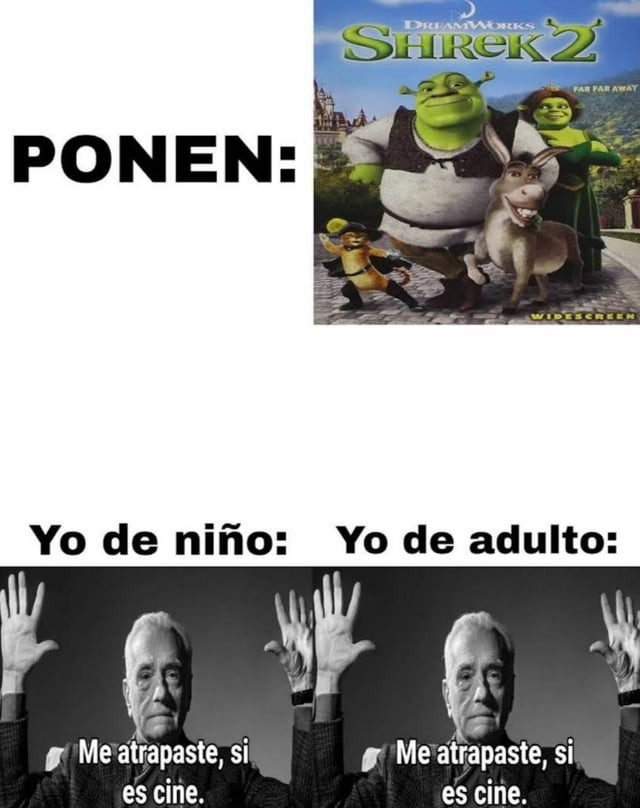Ponen Shrek 2 en la tv - meme