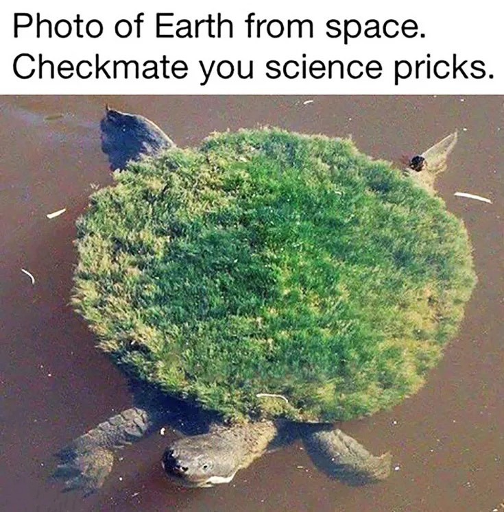 It's science - meme