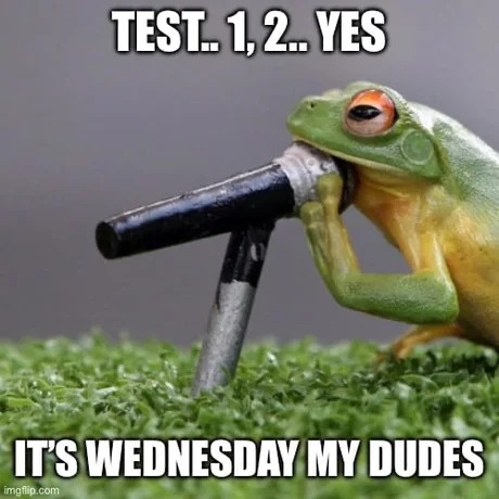 It's Wednesday my dudes meme