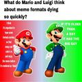 Mario Bros’ Views