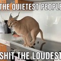 Le quiet people