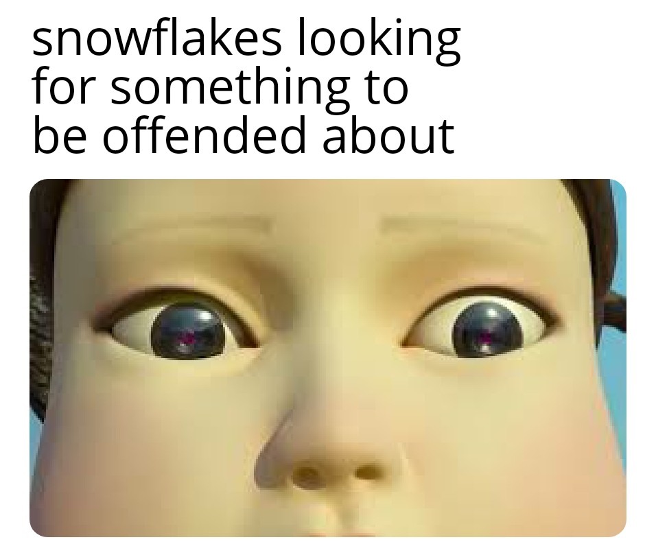 Snowflakes - meme