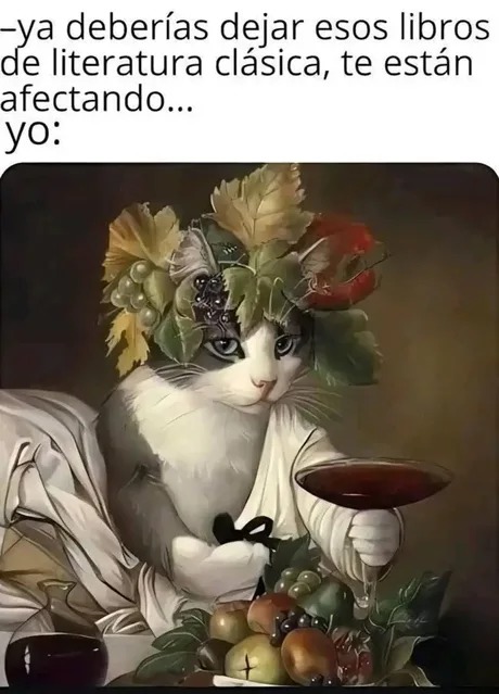 Me gusta la literatura clásica - meme