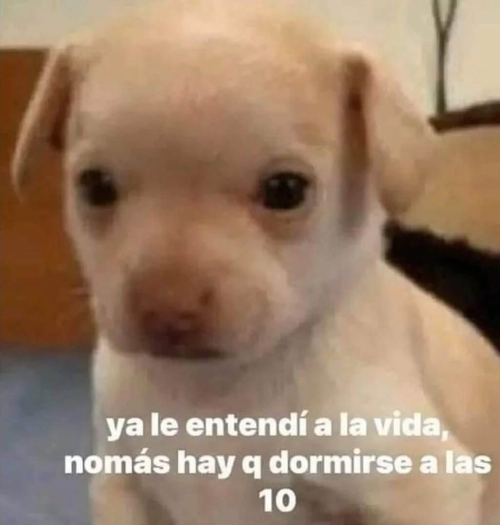 Ya le entendí a la vida... solo era dormirse a las 10 - meme