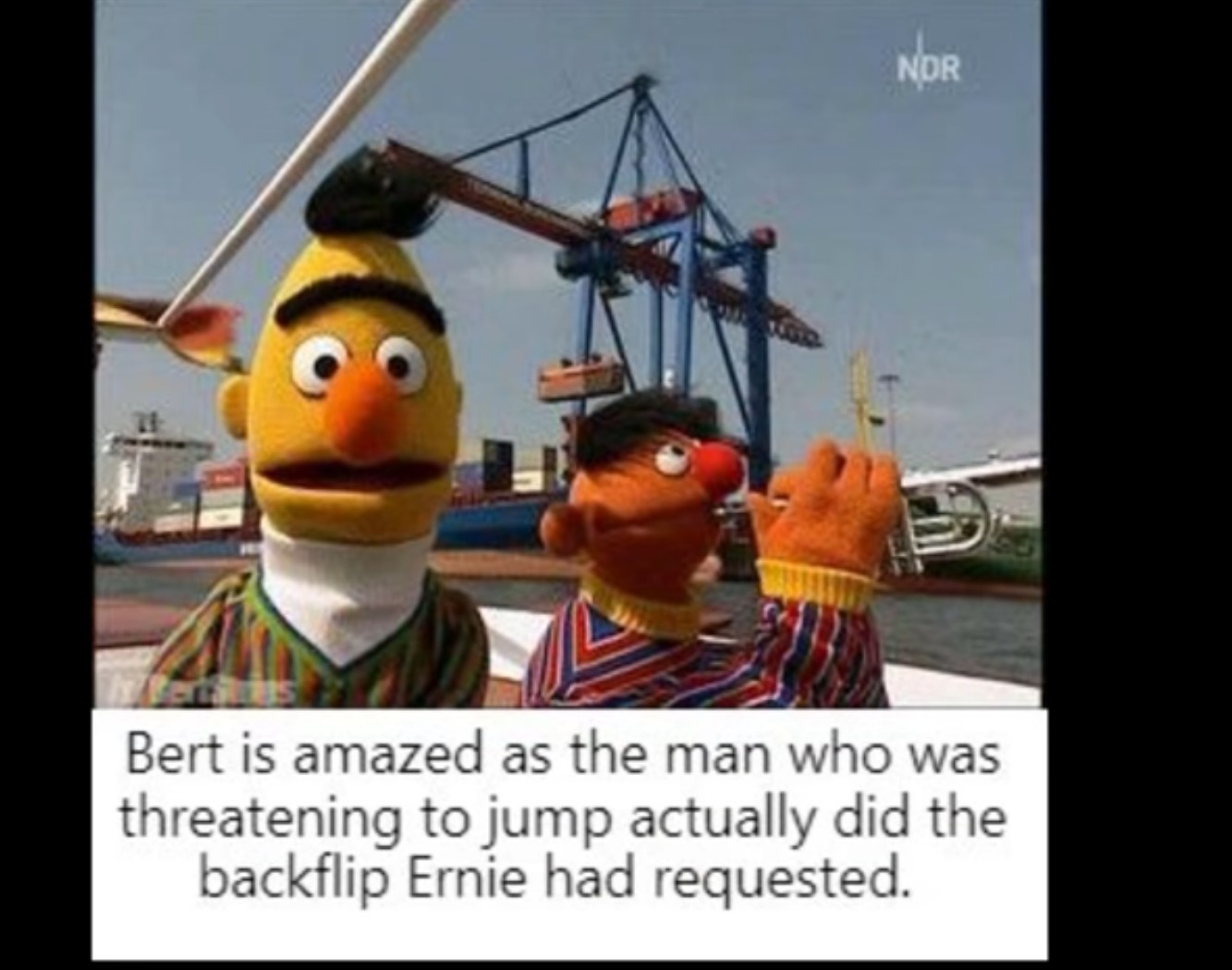 The best bert and ernie memes :) Memedroid