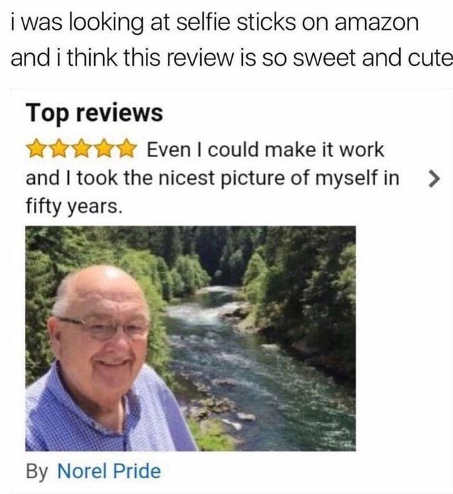 Wholesome review - meme