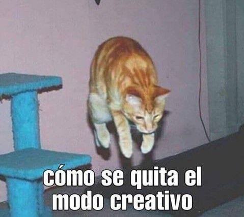 No lo se Bro  - meme