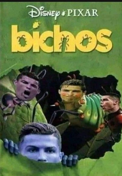 Bichos - meme