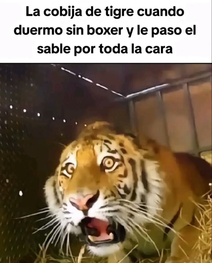 soyteamsangre - meme