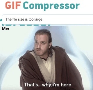 GIF Compressor: The file is too big. Me: That's literally why I'm here - meme