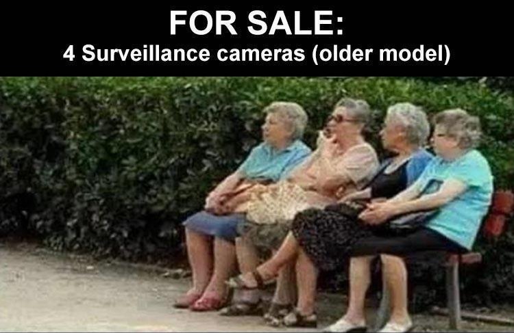 Yes, they are connected to a network, too. - meme