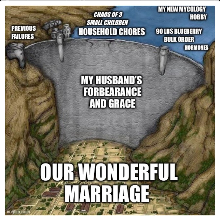 Good husband - meme