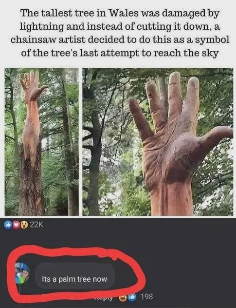 Lightning hit a tree so hard it became art - meme