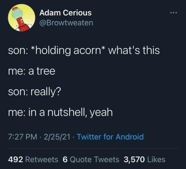 Kid holding an acorn: what's this? Me: a tree... in a nutshell - meme