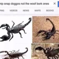Snip snap doggos not the woof ones