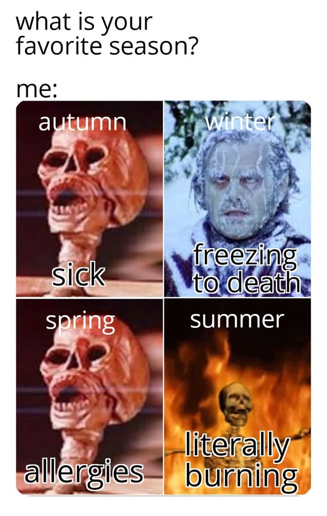 What is your favorite season? - Meme by RobSammer :) Memedroid
