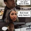 The Rock Driving meme with AOC