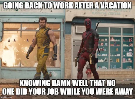 Going back to work after vacation meme