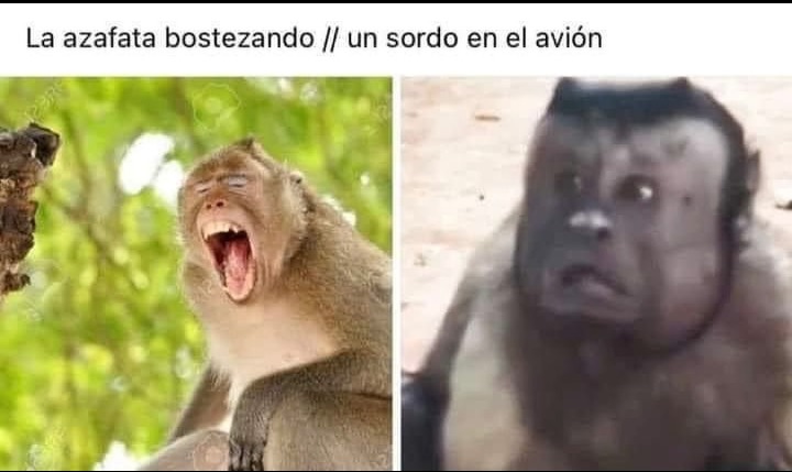 El título está comiendo vuelve a las 11 - meme
