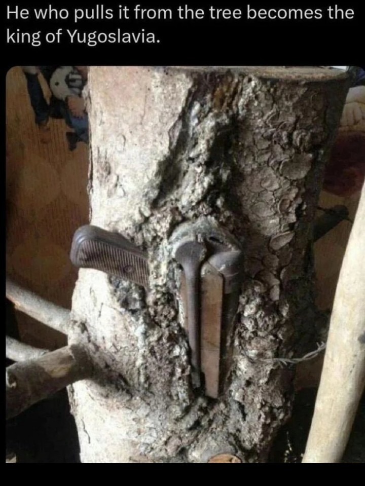 ﻿He who pulls it from the tree becomes the of Yugoslavia: king